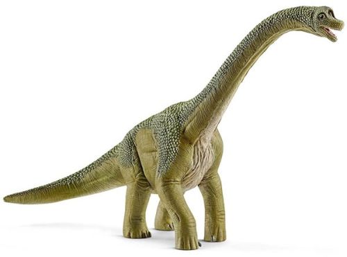 Brachiosaurus